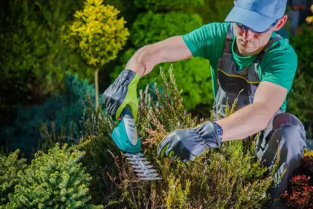 landscaping services Savona